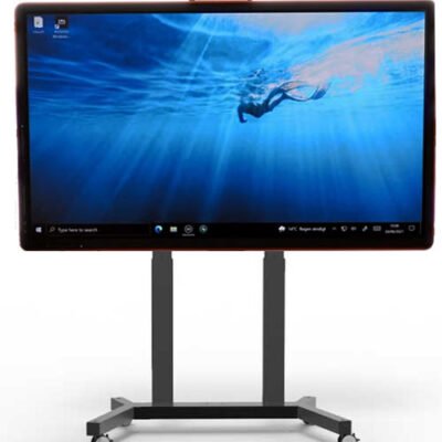Monitor Digital Signage CTouch Canvas 65