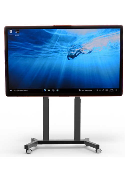 Monitor Digital Signage CTouch Canvas 65